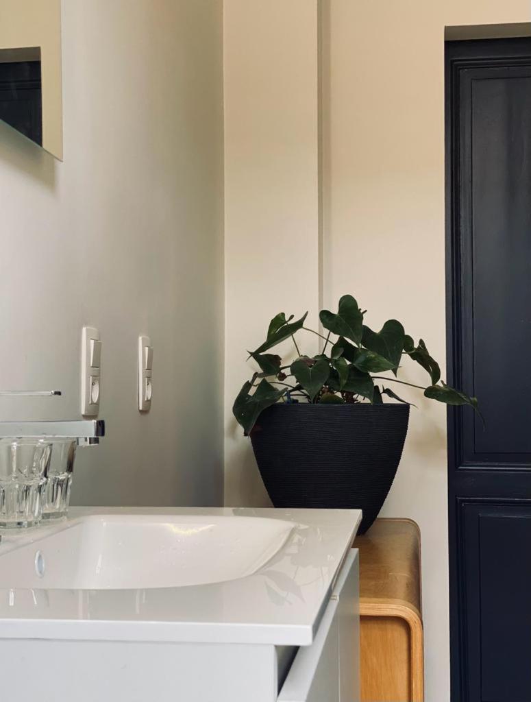 B&B Faja Lobi Ghent Exterior photo